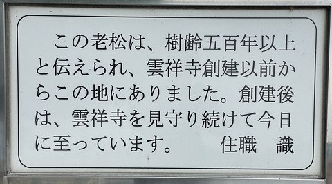 松3