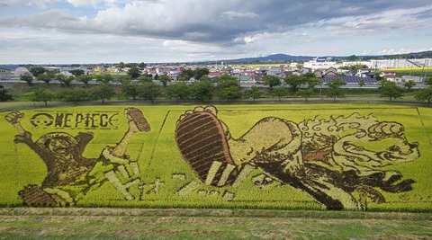 DSC_0029田んぼアート