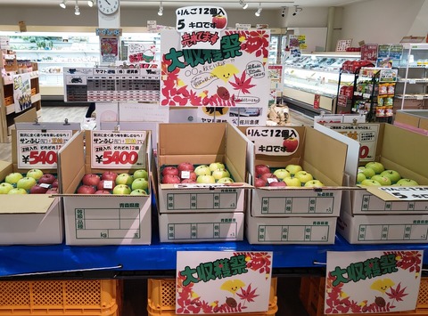 1669686651310.jpgりんご箱推し