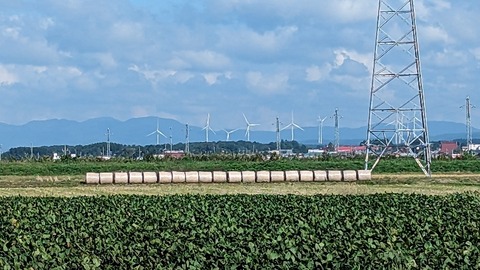 PXL_20230927_002808262