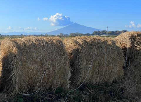 岩木山から噴煙
