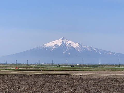 IMG_7229m