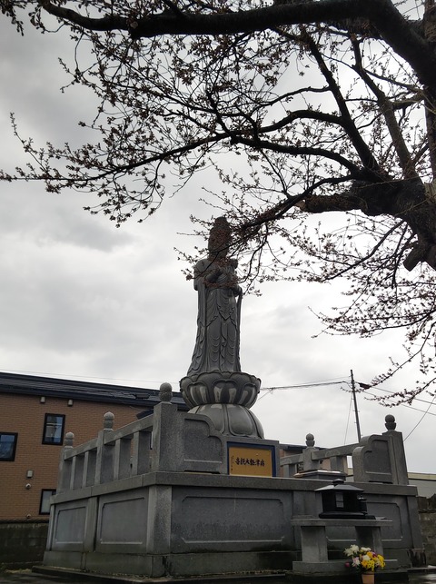 SilentCameraSoft-1744947966426.jpg４月１９日