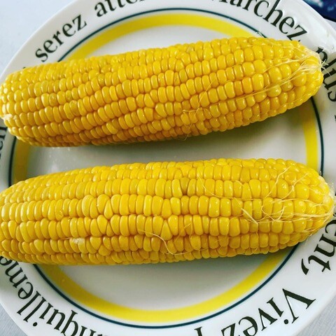BLZP5954