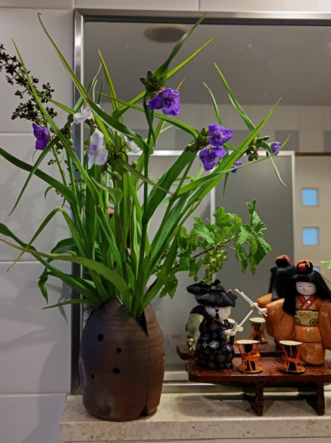 DSC_0002花