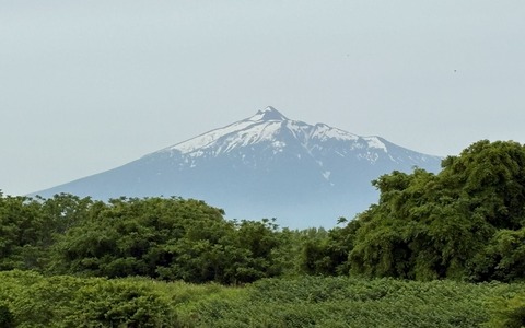 IMG_8127