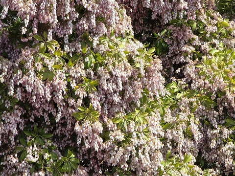 うまごろし_104234