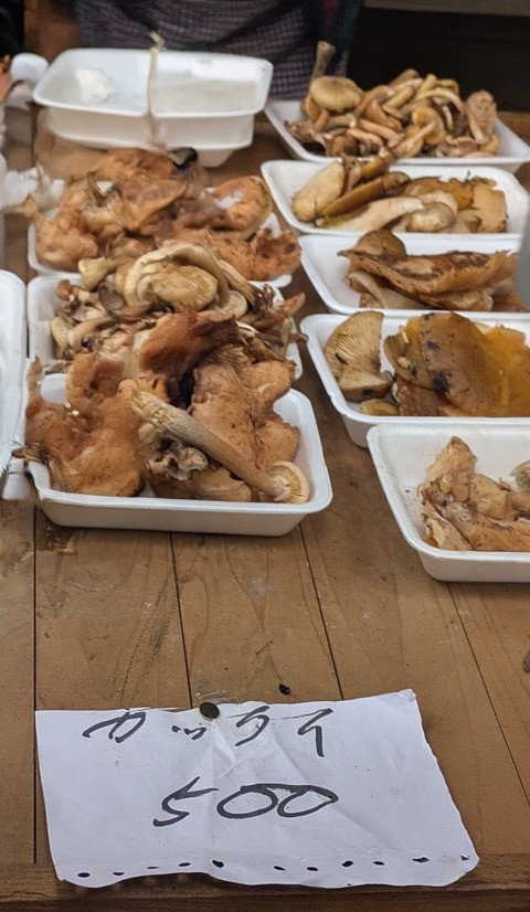 PXL_20251026_023501299.MP~3