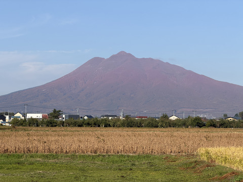 iwakisann