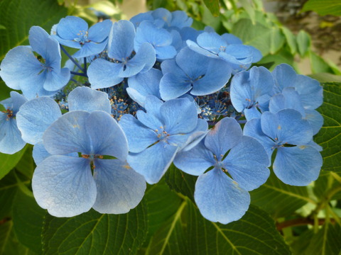 P1040360