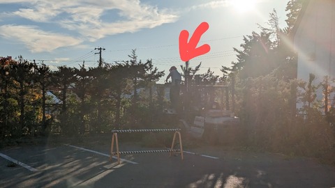 PXL_20231031_062908407~2