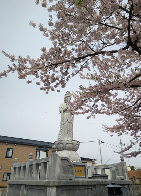 DSC_0887.JPG4月２８日