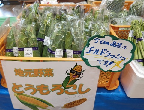 ゴールドラッシュ
