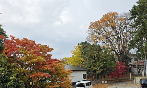 20251107_091932.jpg八幡宮紅葉