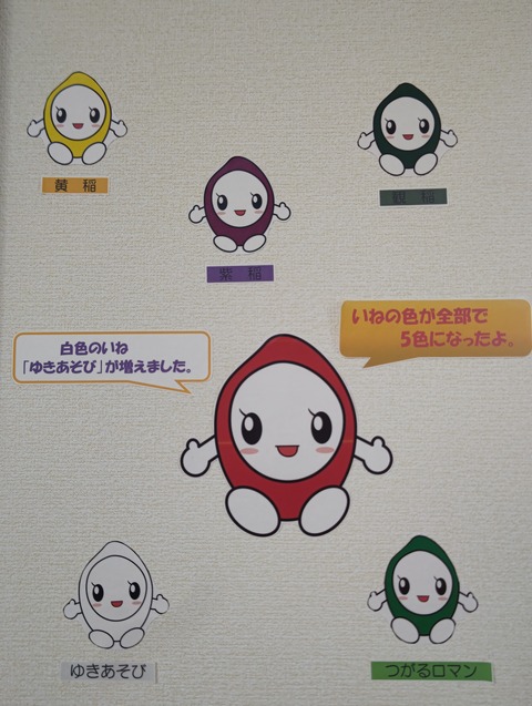 DSC_0032稲の種類