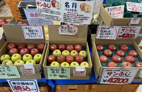 rinngo1
