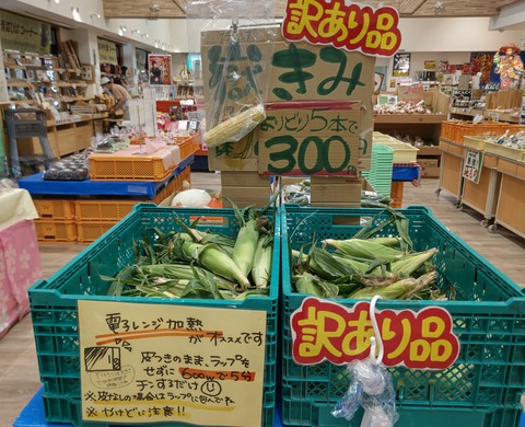 DSC_1268.JPG秋の味覚