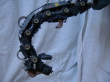 ウルトラザウルス8