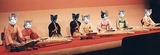ニャかのしま社中