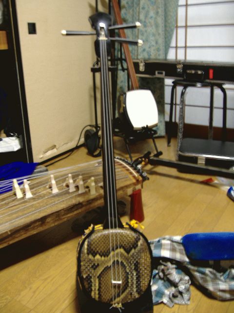 所有楽器紹介（本皮沖縄三線） : 三味線弾きシシドの「日本文化ゎ