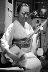 shamisen sensei