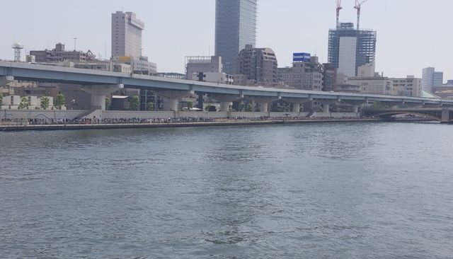 IMG_20190825_125312_764