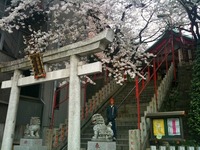 kasuga
