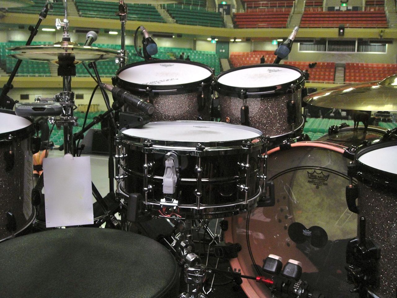 My Baby Shane Gaalaas