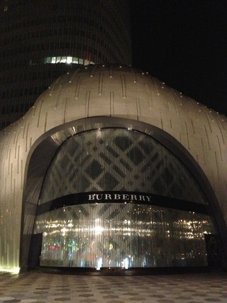 �������ܤξ峤--���ܹҶ��֣ʣ̣���������