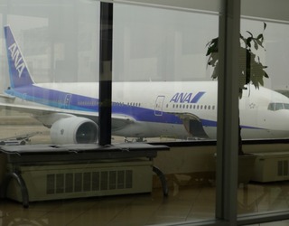上海・虹橋空港発羽田行きの全日空ANANH1260便