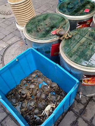 ���������ֽ��Ƿ�� ������ϩŹ