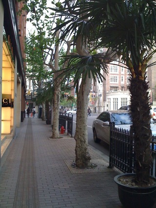 花園飯店裏の長楽路の歩道