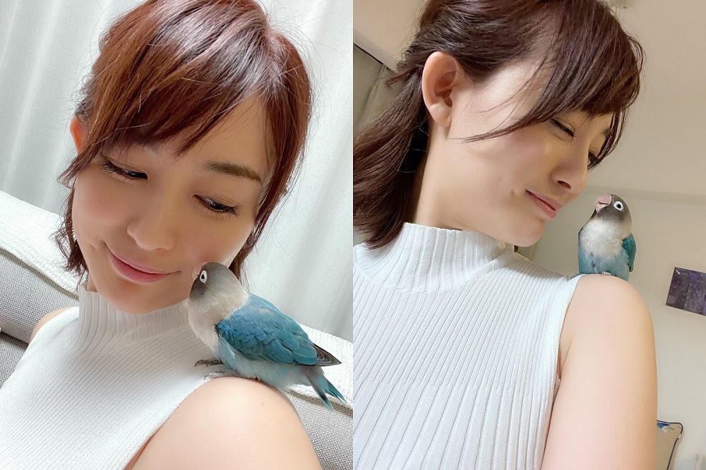 【美女】わくわく！新井恵理那たん！【情報7days！グッド！モーニング】