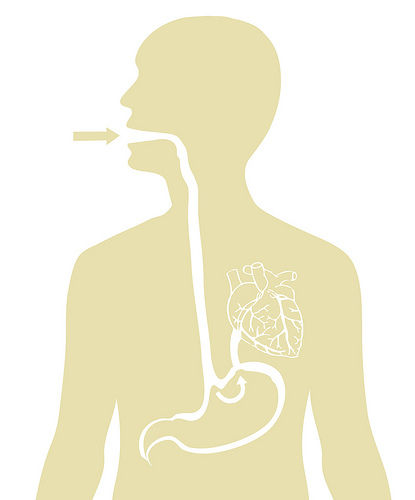 5493771308_64150f517f