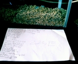 Ǯ�ӵ��ꥹ��