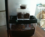 ���֥ȣ�������