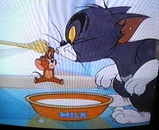 �ȥ�ȥ����꡼