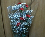 �����͡������