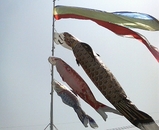 �����Τܤ�3