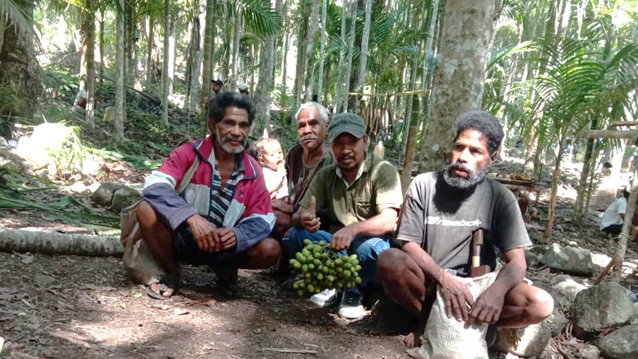 年に１日のみの収穫日 檳榔に登る日 に行った健康プロモーション Ngoスタッフブログ すべての人に健康を シェア