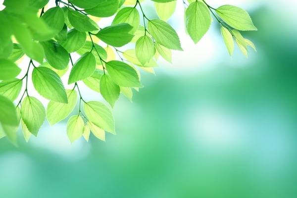 18038823abb07deb932e3e5f3d5b5dc7_s