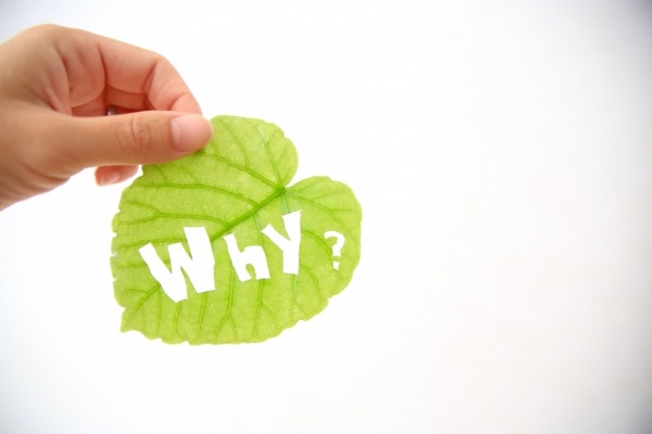 b7a08b160e787f180f0c72d01e26db5b_s