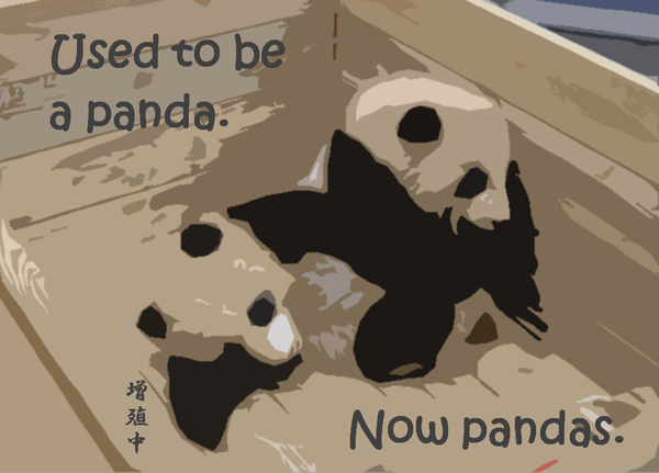 synthetic_pandas3