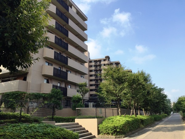 37d9b9ba6b60c8ec8a732c40cc26277d_m