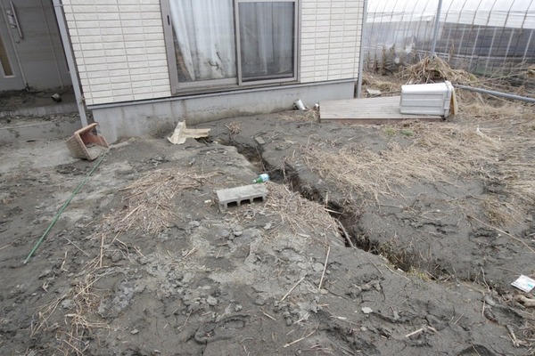 6ba2d1f1c7be7fecd42b2939caed9dce_m-1024x682