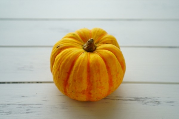 96993593df7a8df3fe31de60ad63bcf3_s