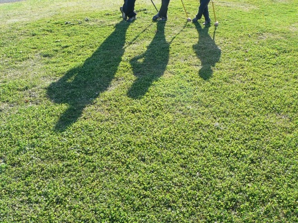 61d5a4356e154ef141a0ae75dc8f414a_s