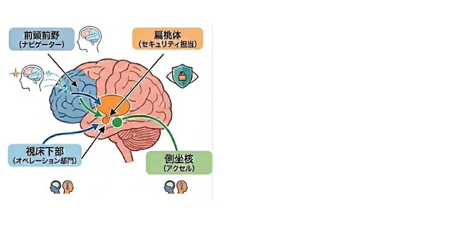 「やる気が出ない」は心の弱さではない？ 脳の回路を書き換える「入力」の仕方（西川晶子　精神科医）