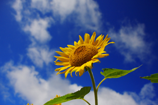 0720_後藤かずや