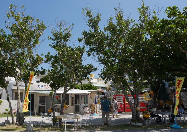 P1020137